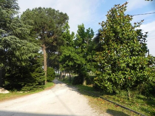 Imagen de los exteriores del Hotel Caterina Residence. Foto 19