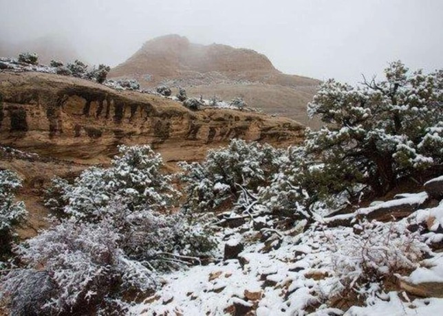 Imagen de los exteriores del Hotel Cathedral Valley Inn. Foto 10