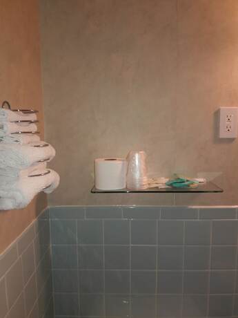 Imagen general del Hotel Catskill Motor Court Motel. Foto 14