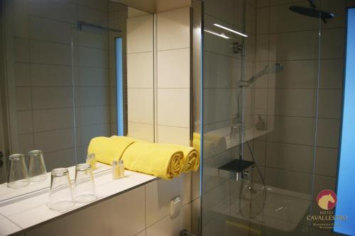 Imagen general del Hotel Cavallestro Classic. Foto 5
