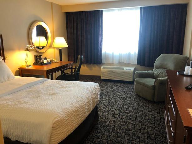 Imagen de la habitación del Hotel Cayuga Blu. Foto 9
