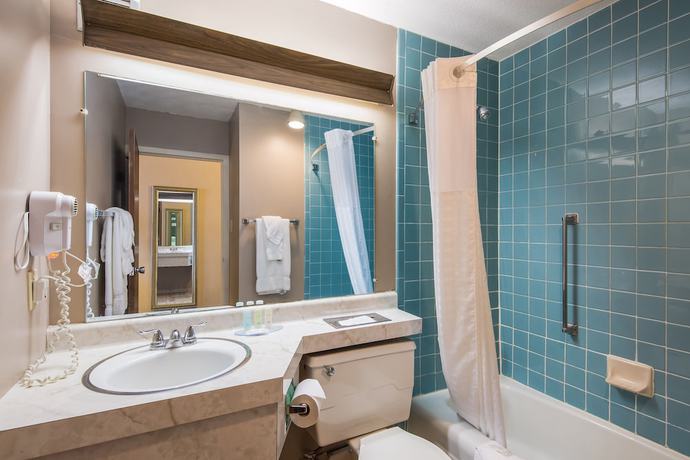 Imagen de la habitación del Hotel Cayuga Blu. Foto 11