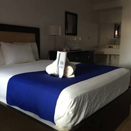 Imagen de la habitación del Hotel Ccbc Resort - A Gay Men's Resort. Foto 5