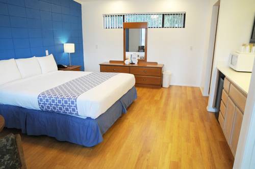 Imagen de la habitación del Hotel Ccbc Resort - A Gay Men's Resort. Foto 8