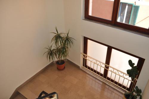 Imagen general del Hotel Cecile. Foto 7