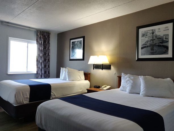 Imagen de la habitación del Hotel Cedar Cove. Foto 7