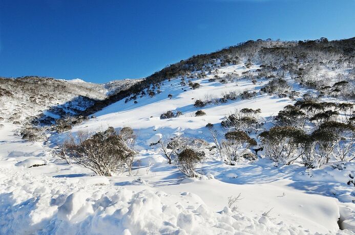 Imagen general del Hotel Cedar Creek 2. Foto 4