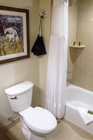Imagen de la habitación del Hotel Cedar Creek Lodge and Conference Center. Foto 6