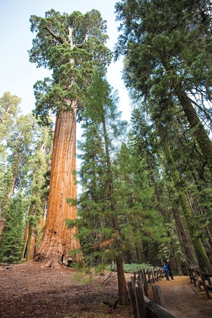 Imagen de los exteriores del Hotel Cedar Grove Lodge. Foto 10