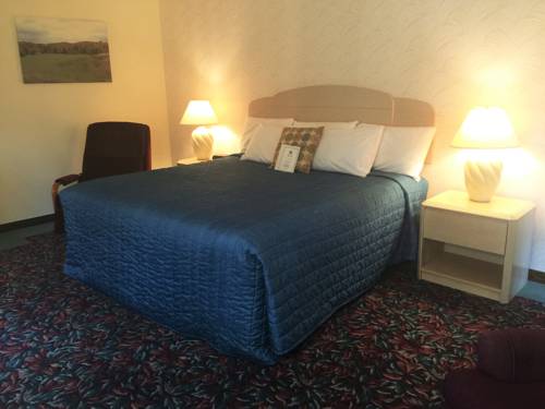 Imagen de la habitación del Hotel Cedar Motor Inn. Foto 6