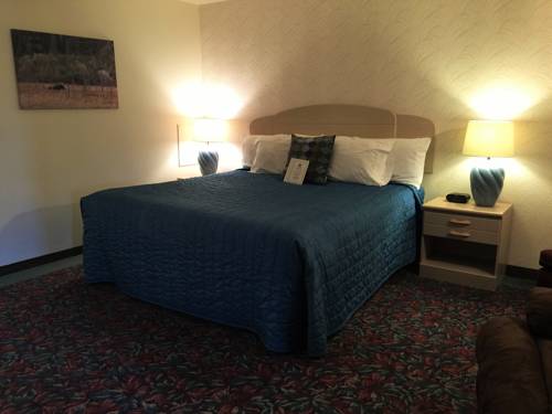 Imagen de la habitación del Hotel Cedar Motor Inn. Foto 7