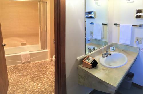 Imagen de la habitación del Hotel Cedar Motor Inn. Foto 9