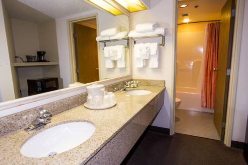 Imagen de la habitación del Hotel Cedar Point's Castaway Bay. Foto 5