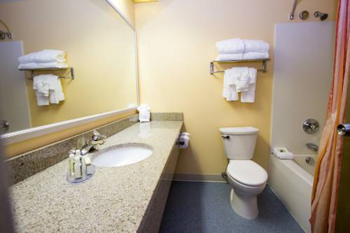 Imagen de la habitación del Hotel Cedar Point's Castaway Bay. Foto 15