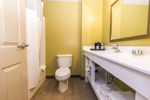 Imagen de la habitación del Hotel Cedar Point's Express. Foto 13