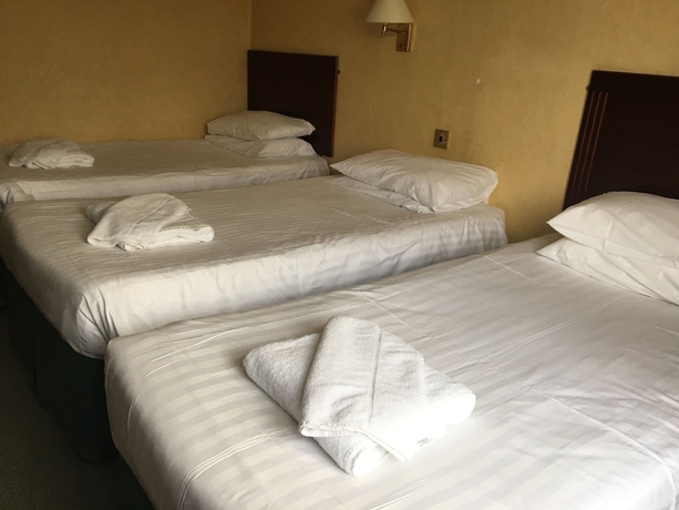 Imagen de la habitación del Hotel Cedar Tree. Foto 7