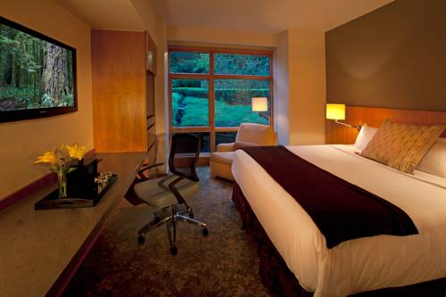 Imagen de la habitación del Hotel Cedarbrook Lodge. Foto 6