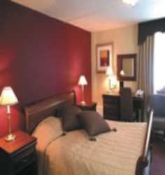 Imagen general del Hotel Cedars Inn, Barnstaple. Foto 3