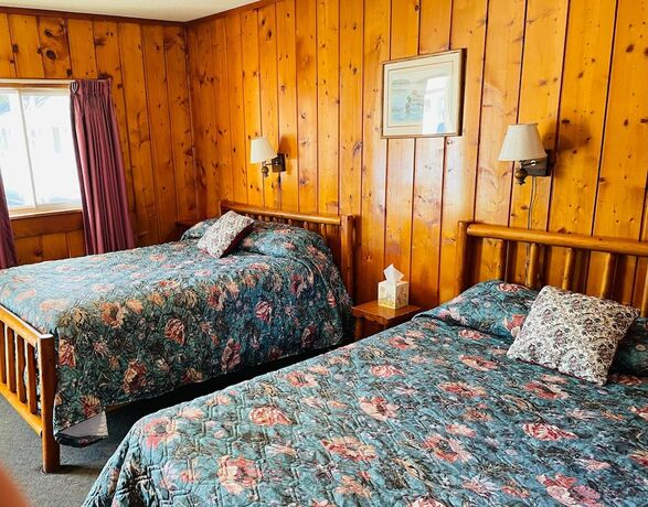 Imagen de la habitación del Hotel Cedars Motel. Foto 15