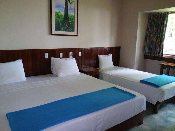 Imagen de la habitación del Hotel Ceiba Tops Lodge. Foto 15