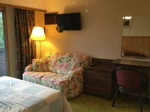 Imagen de la habitación del Hotel Celadon Lodge, Radium Hot Springs. Foto 6