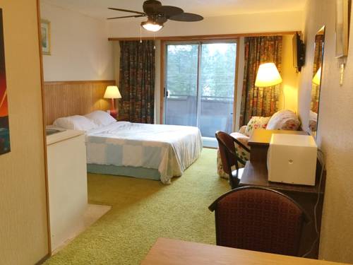 Imagen de la habitación del Hotel Celadon Lodge, Radium Hot Springs. Foto 7