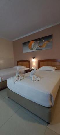 Imagen general del Hotel Celebes. Foto 5