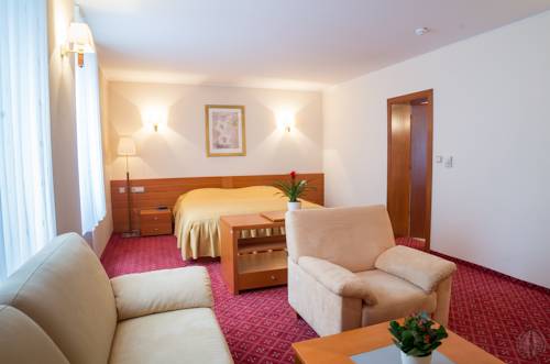 Imagen de la habitación del Hotel Celeia. Foto 14