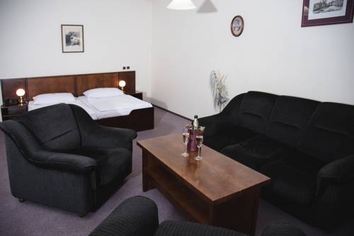 Imagen de la habitación del Hotel Celerin. Foto 6