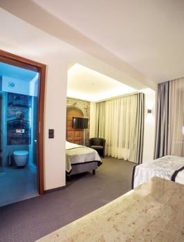 Imagen de la habitación del Hotel Celestin Residence. Foto 8