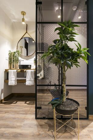 Imagen general del Hotel Celestino Boutique. Foto 10