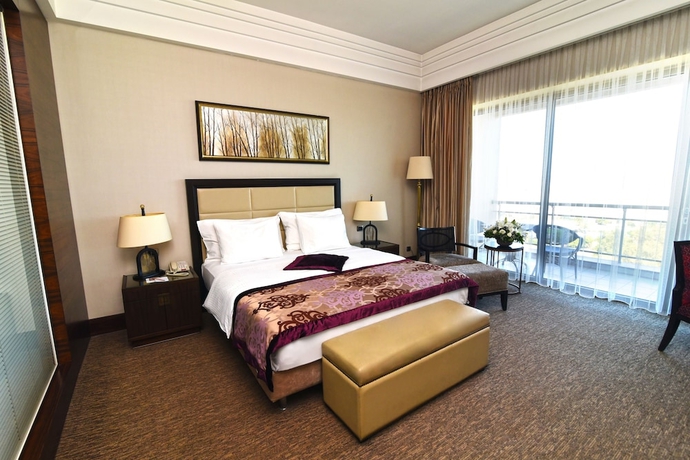 Imagen de la habitación del Hotel Celik Palace Convention Center and Thermal Spa. Foto 4