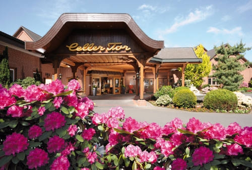 Imagen general del Hotel Celler Tor. Foto 4