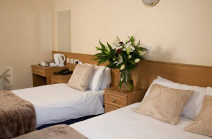 Imagen de la habitación del Hotel Celtic Lodge Guesthouse - Restaurant and Bar. Foto 15