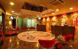 Imagen de la piscina del Hotel Celyn City. Foto 15