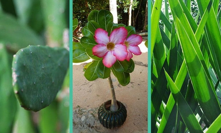 Imagen de la habitación del Hotel Cenote Balam-ha. Foto 10