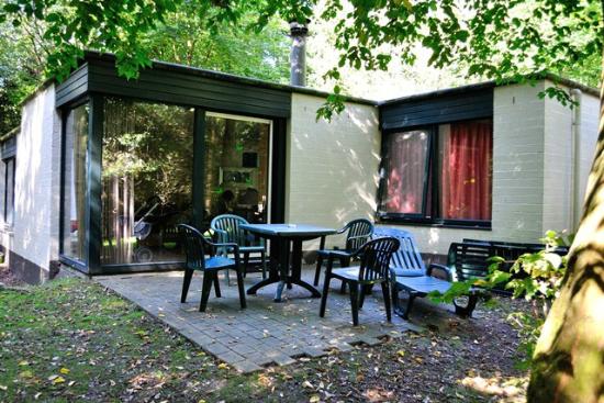 Imagen general del Hotel Center Parcs De Eemhof. Foto 2