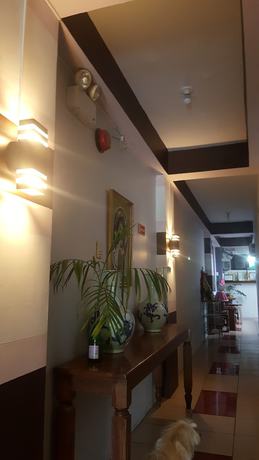 Imagen de los interiores del Hotel Center Parkway Pension House. Foto 14