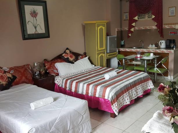 Imagen de la habitación del Hotel Center Parkway Pension House. Foto 9