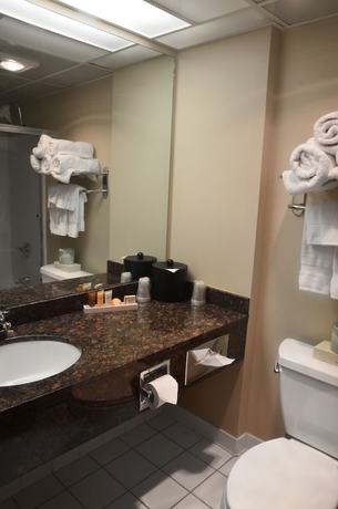 Imagen de la habitación del Hotel Centerstone Plaza Soldiers Field - Mayo Clinic Area. Foto 13