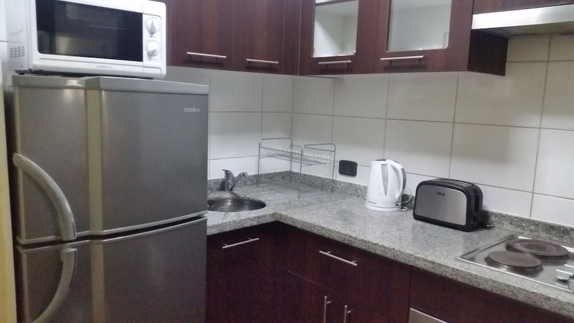 Imagen de la habitación del Hotel Central Apart Santiago. Foto 12