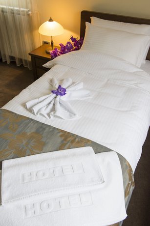 Imagen de la habitación del Hotel Central Lux Kragujevac. Foto 4
