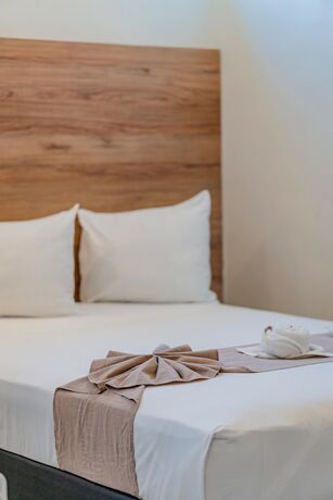 Imagen general del Hotel Central Merida by Kavia. Foto 13