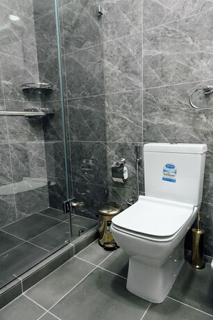 Imagen general del Hotel Central Palace Halal. Foto 8