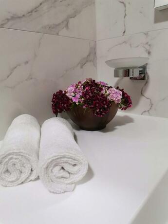 Imagen general del Hotel Central Point Beograd. Foto 3