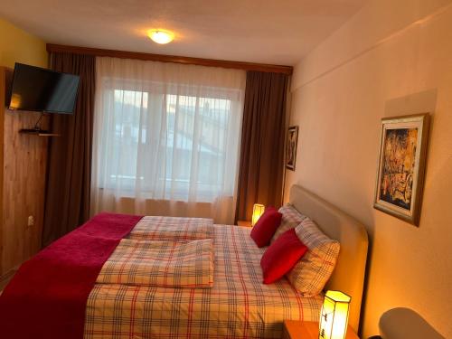 Imagen general del Hotel Central Vla&scaron;ić. Foto 6