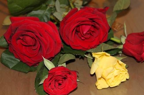 Imagen de la habitación del Hotel Centrale, Trieste. Foto 9