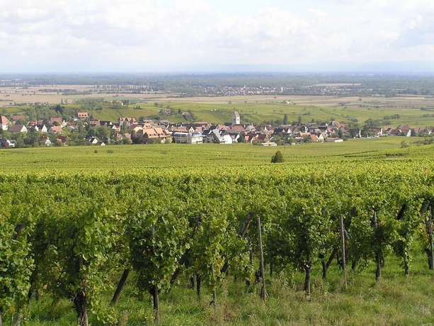 Imagen de los exteriores del Hotel Centre Le Mittel. Foto 12