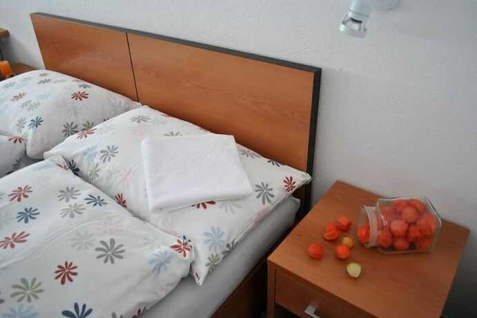 Imagen de la habitación del Hotel Centre de Sornetan. Foto 17