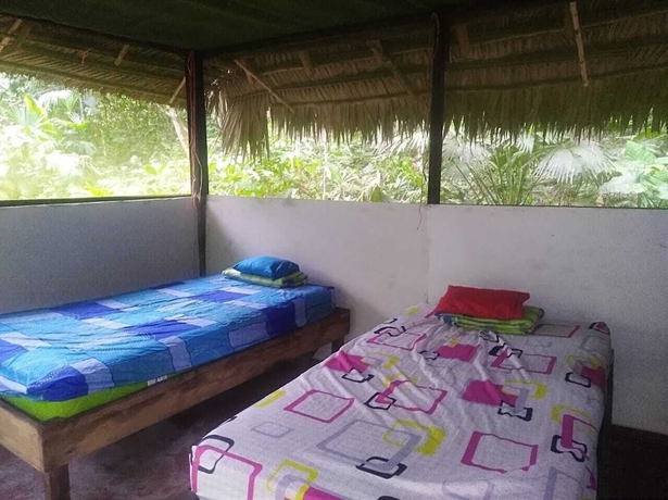 Imagen de la habitación del Hotel Centro Ayaymama Mystic. Foto 5